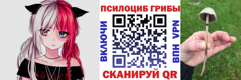 Псилоцибиновые грибы Psilocybine cubensis MEGA ссылки Рошаль где продают